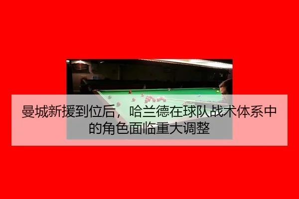 man-cheng-xin-yuan-dao-wei-hou-ha-lan-de-zai-qiu-dui-zhan-shu-ti-xi-zhong-de-jue-se-mian-lin-zhong-da-tiao-zheng-3-721.jpg