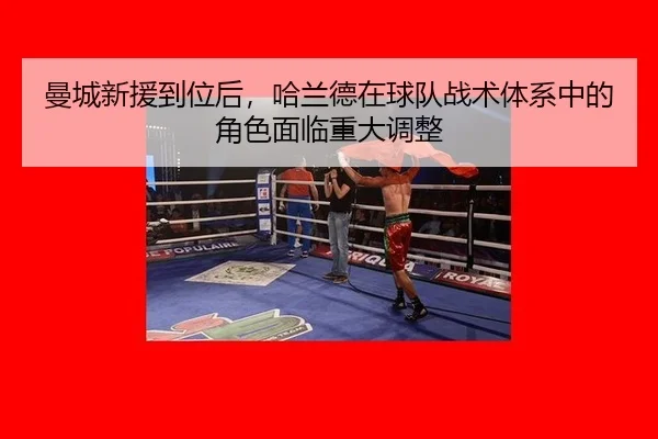 曼城新援到位后，哈兰德在球队战术体系中的角色面临重大调整